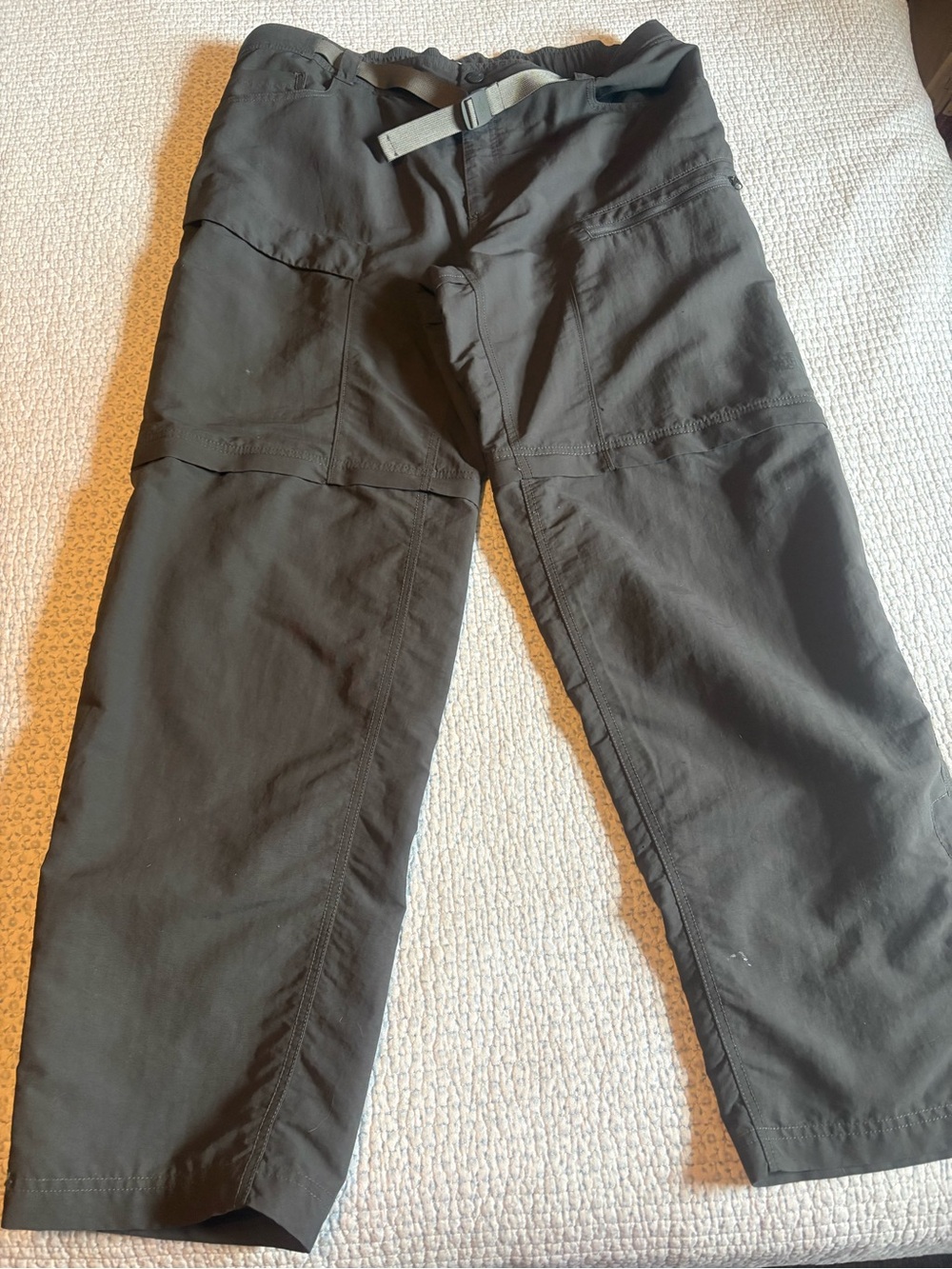 The Northface Men’s Convertible Hiking Pants